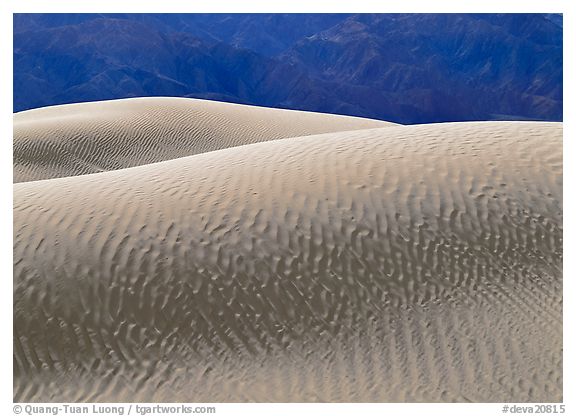 Mesquite Sand Dunes, Death Valley National Park, California.  ()