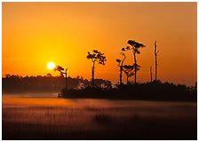 Everglades  National Park, Florida.  ( )