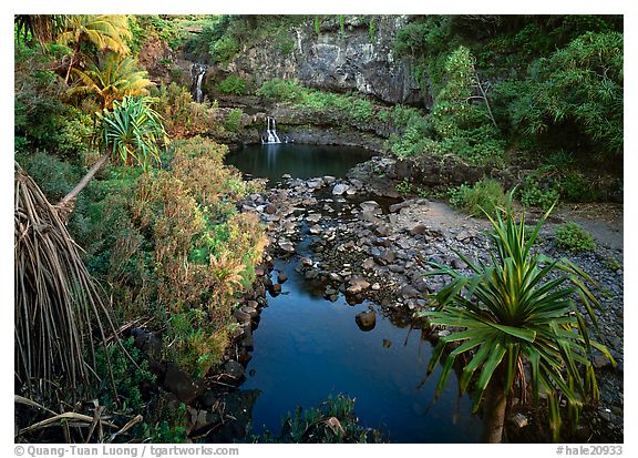 Oho o Stream,  Haleakala National Park, Hawaii.  ()