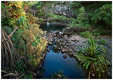 Oho o Stream,  Haleakala National Park, Hawaii.  ( )
