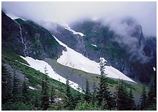 Cascade Pass, North Cascades National Park, Washington.  ( )
