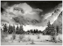 Winter Snow Storm, Yosemite Valley, 1973.  ( )