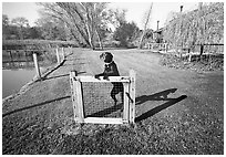Gate & Guard Dog, 1975.  11x14.  ( )