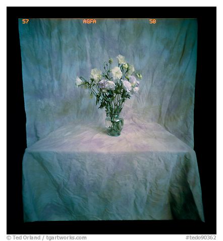 Still Life with Flowers, 2003.  ()