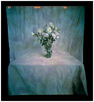 Still Life with Flowers, 2003.  ( )